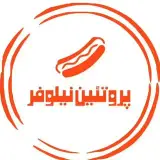 niloofar-protein