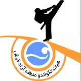 Kish Island Taekwondo