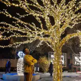 خدمات برق فانوس اصفهان