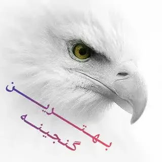 زیباترین‌پیج10تایی، برایِ‌زیبااَندیشان