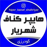 علی گودرزی