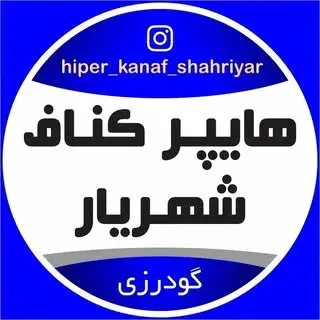 علی گودرزی