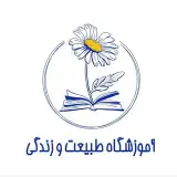 دکتر مریم منفرد