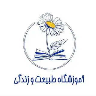 دکتر مریم منفرد