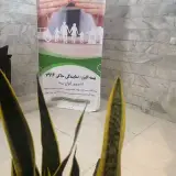 alborzinsurance