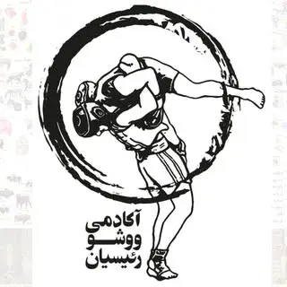آکادمی ووشو رئیسیان