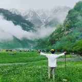 hesam hoseiny amoli