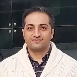 Mehdi Hasanali