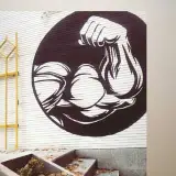 APADANA GYM