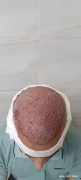 املاک آمود