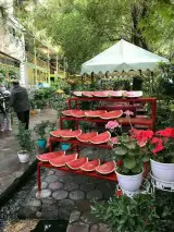 Haft Houz cafe