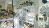 Maya store