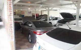 Ali Tokyo Auto Repair