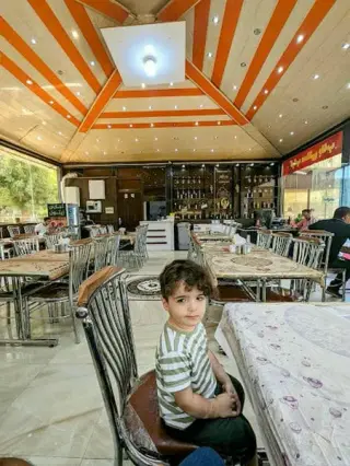 Zaytoon