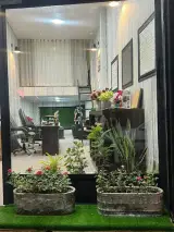 دکوراسیون داخلی دارکوب