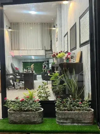 دکوراسیون داخلی دارکوب