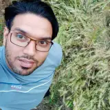 hamid