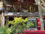 کافه رستوران پاسیالیز