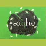 كارگاه نجاري ساقه
