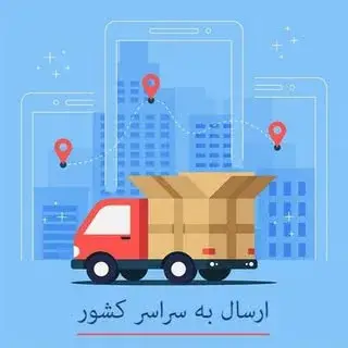 محمد  سلامی