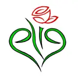 گلکده الین