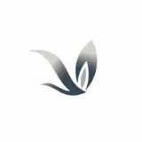 Kianoosh Language Academy
