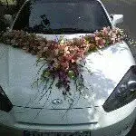گلفروشی کنتیا