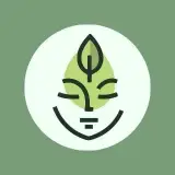 ماساژ | پاکسازی پوست | اوزون تراپی