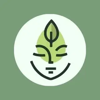 ماساژ | پاکسازی پوست | اوزون تراپی