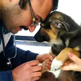dr.sedaghat.pet.clinic