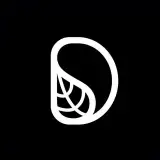 DOTAN STUDIO © | استودیو دوتَن
