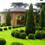 گلخانه گلستان البرز
