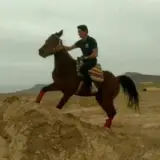 سعید سالاری