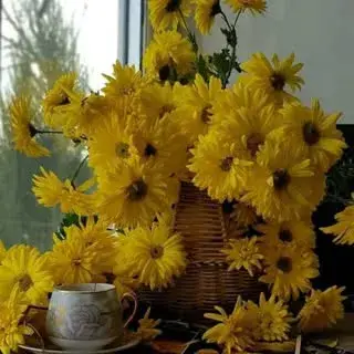 شرکت سمپاشی گل دام اهواز