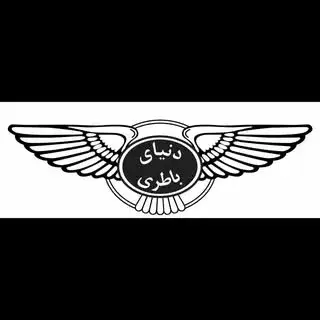 دنیای‌ باتری‌