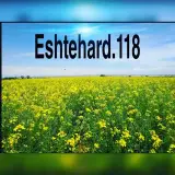 Eshtehard.118