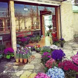 فروشگاه گل و گیاه مهندس بیهقی