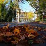 بیمارستان شهید دکتر لواسانی