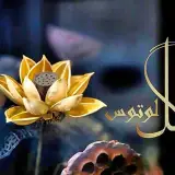 گل لوتوس