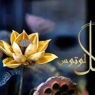 گل لوتوس
