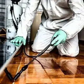 شرکت سمپاشی شهریاران شهر پاک