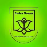 گل صدرا