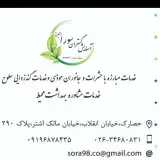 آسایش گستران سورا البرز