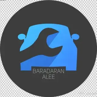 تعمیرگاه تخصصی برادران عالی