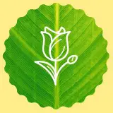 گلفروشی صادقیه تهران