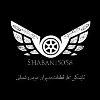 SHABANI5058