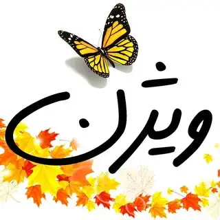 ویژن پوش