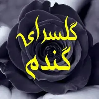 گل فروشی گلفروشی رباط کریم