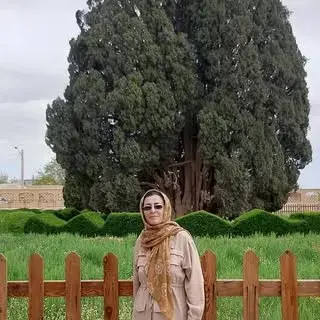 ملک نصیری