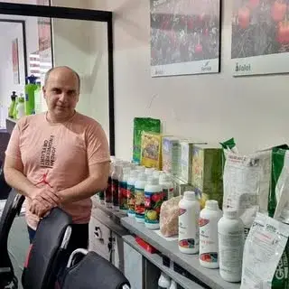 Avinsabzferdos_bandi
